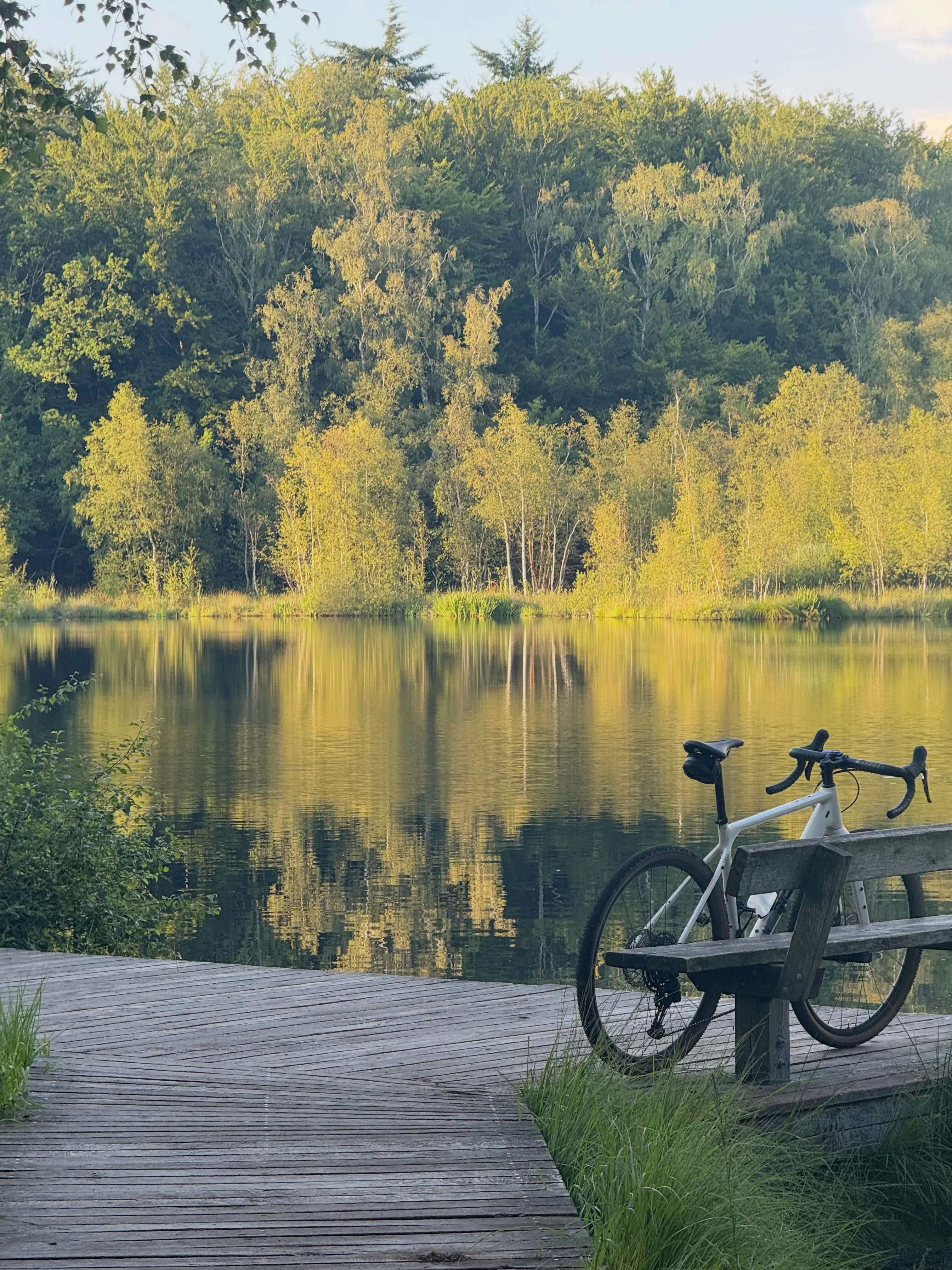 On a small lake close to Copenhagen