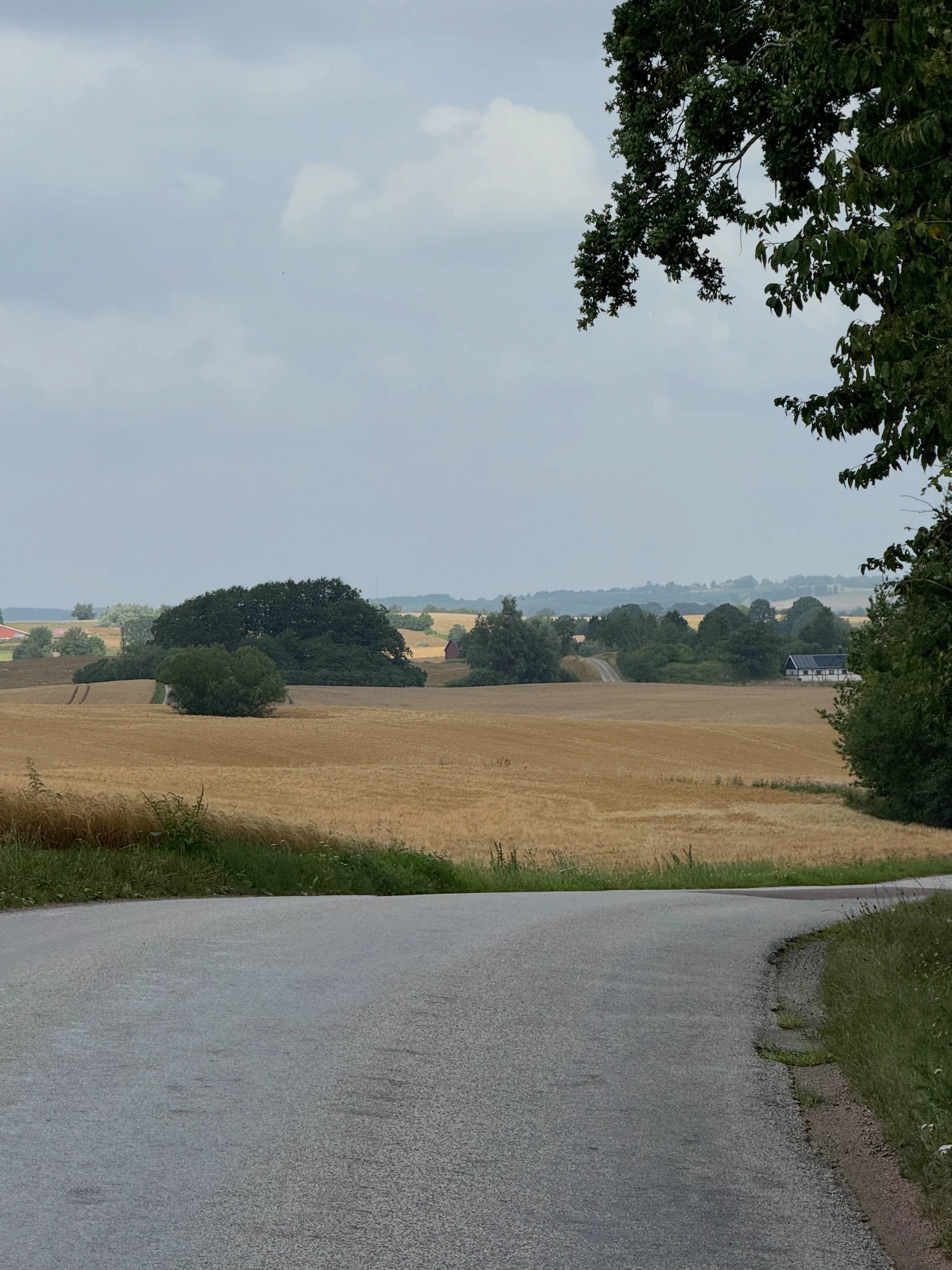 Swedish hills